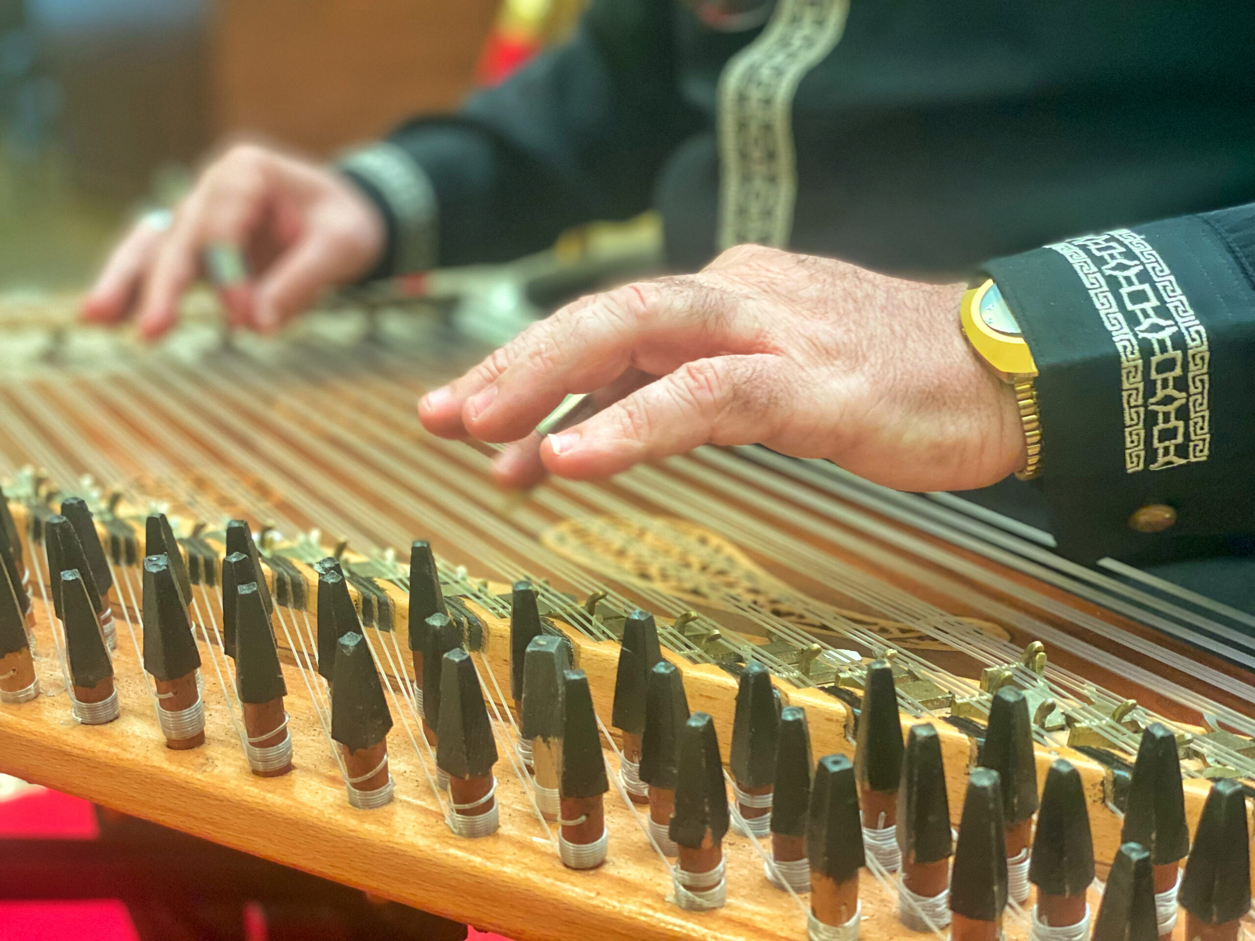 mani esperte che suonano con precisione uno strumento a corde tradizionale, simbolo di specializzazione e focus esclusivo