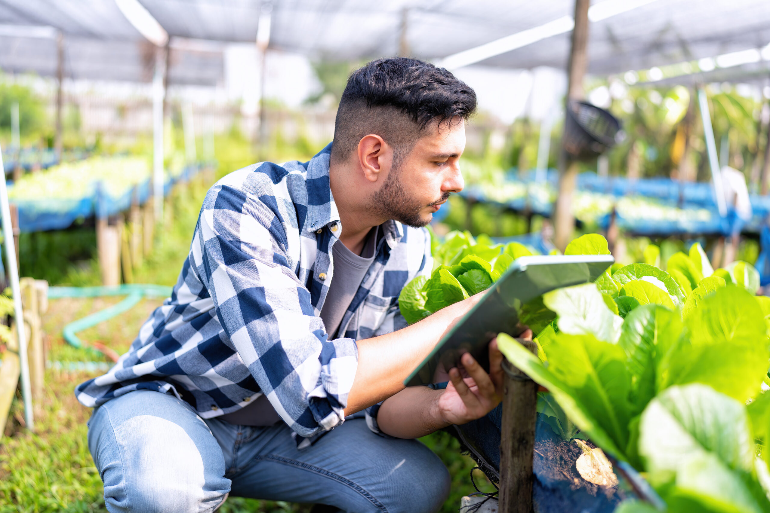 Un agricoltore moderno consulta dati gestionali su un tablet all'aperto in un campo coltivato, simboleggiando la Diagnosi dei Rischi e l'agricoltura di precisione per CAB Cervese.